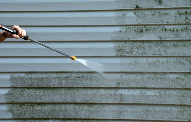 Best Building Exterior Washing  in Holliday, TX